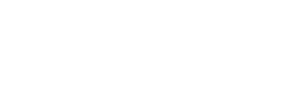 ruger logo-standard