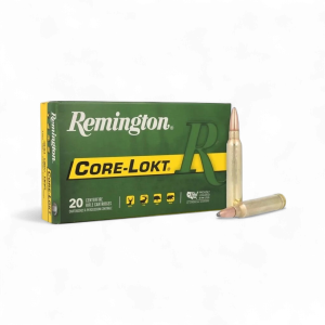Remington – 300 WIN MAG 180GR PTD SP