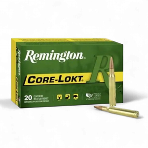 REMINGTON. c.30-06 SPFLD. 180GR. PTD SP